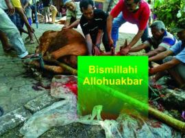 RAYAKAN IDUL ADHA 1438 H, MASYARAKAT DI DESA PONJONG BERQURBAN SAPI DAN KAMBING BERKUALITAS