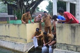 KEPALA DESA PONJONG MENEBAR IKAN DERBANG DI TELENG KOLAM SUMBER PONJONG