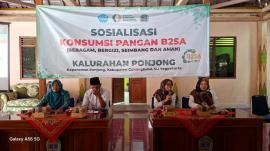 SOSIALISASI KONSUMSI PANGAN B2SA KALURAHAN PONJONG